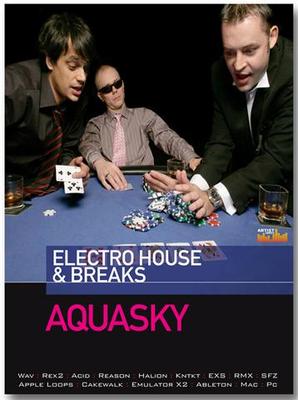 &copy; Loopmasters