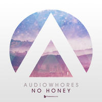 &copy; Toolroom Records