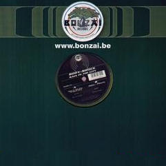 &copy; taken from www.web-records.com