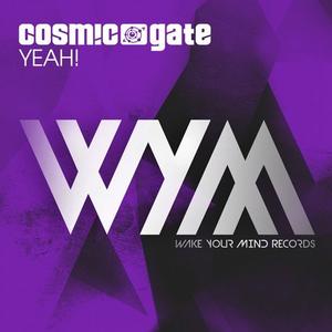 &copy; Wake Your Mind Records