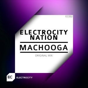 &copy; Electrocity