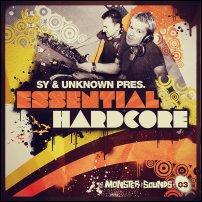 &copy; Essential, Hardcore