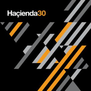&copy; HA�IENDA