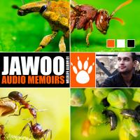 &copy; Wildlife/Black Hol Recordings