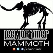 &copy; Lee Mortimer