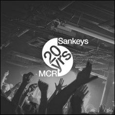 &copy; Sankeys