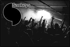 &copy; Sankeys