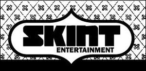 &copy; Skint