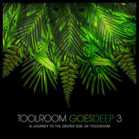 &copy; Toolroom Records