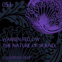 &copy; Lucidflow Records